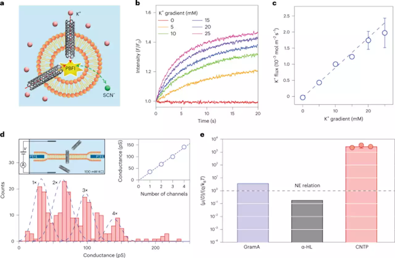 Breakdown of the Nernst–Einstein relation in carbon nanotube porins - Nature Nanotechnology