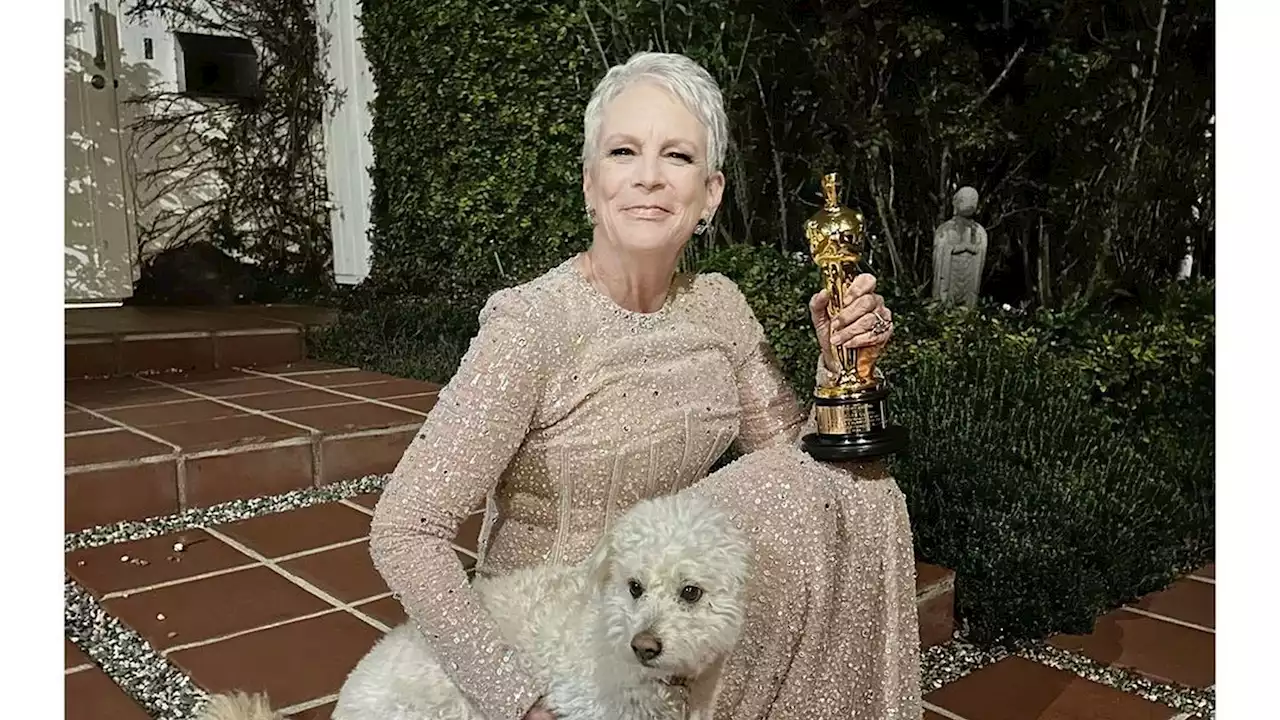 Keine Party: Darum fuhr Jamie Lee Curtis direkt nach Hause