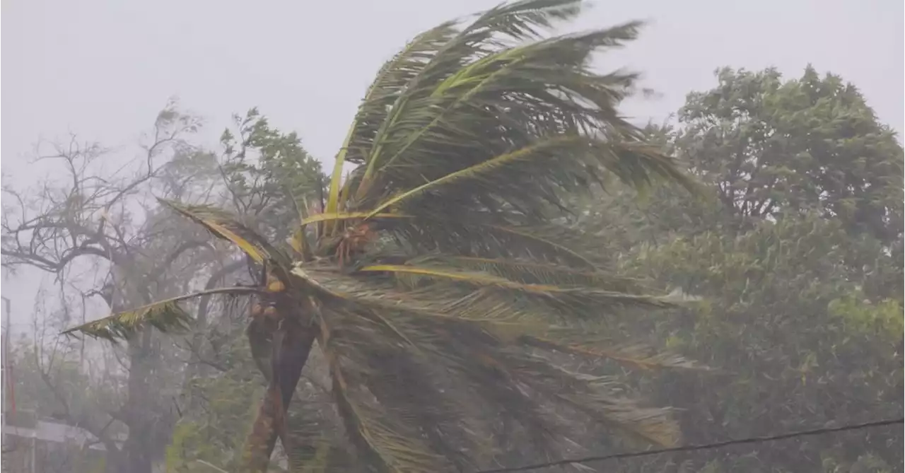 Factbox: Why is Cyclone Freddy a record-breaking storm?