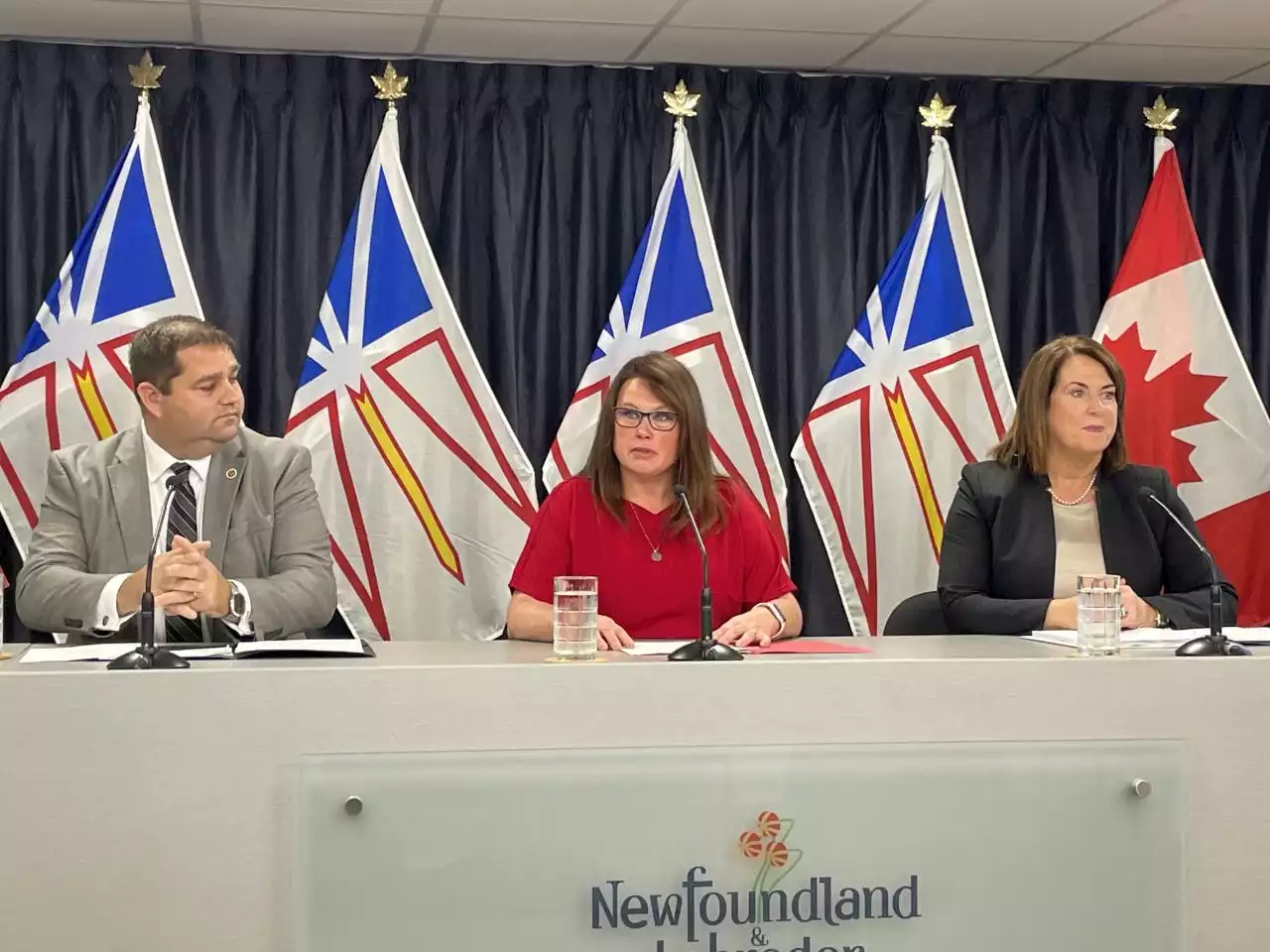 Pay equity consultations underway in Newfoundland and Labrador | SaltWire