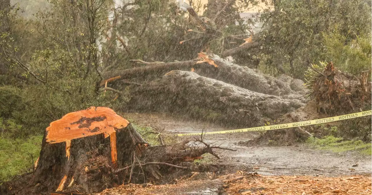 Why brutal winds add to already dangerously wet Bay Area conditions