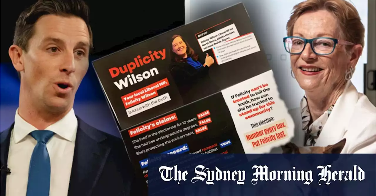 ‘Pretty grubby’: Anger over Climate 200 attack ad on Liberal MP