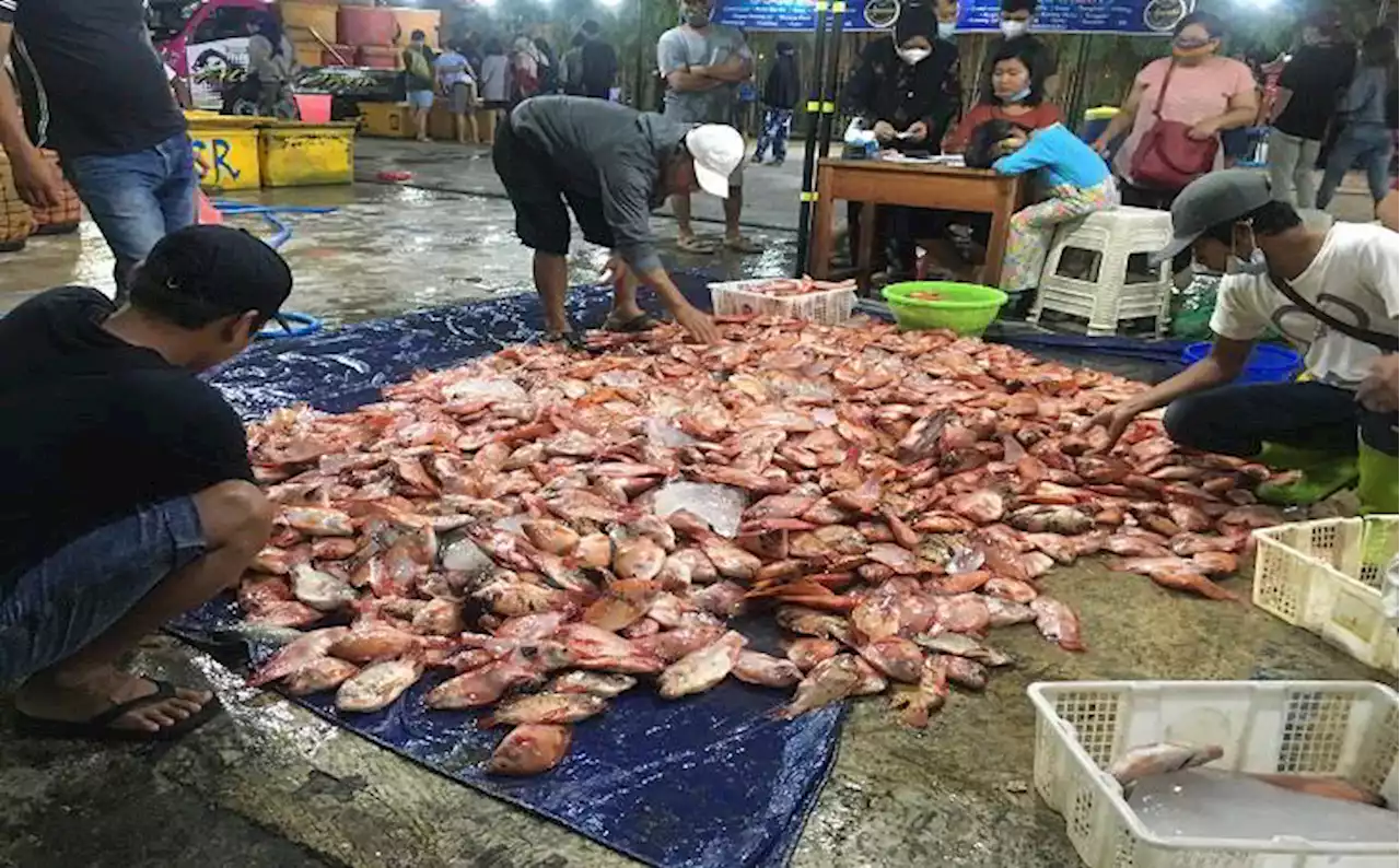 Nasib Pasar Ikan Balekambang Solo Segera Ditentukan