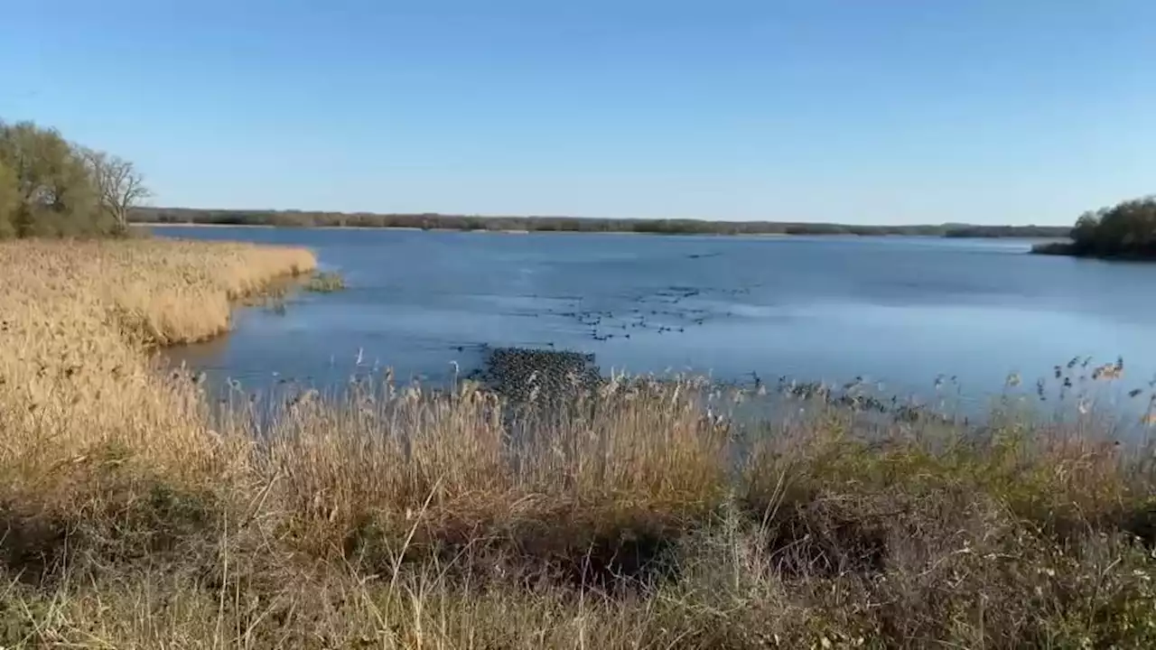 Fairfield Lake State Park to reopen temporarily