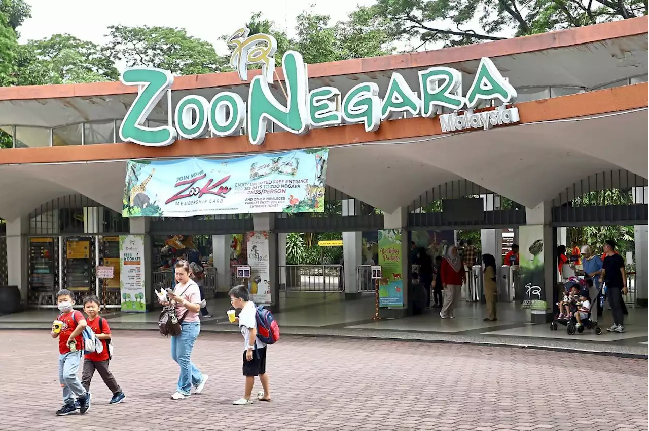 Zoo Negara received nearly RM10mil in govt aid since 2018, Dewan Rakyat told