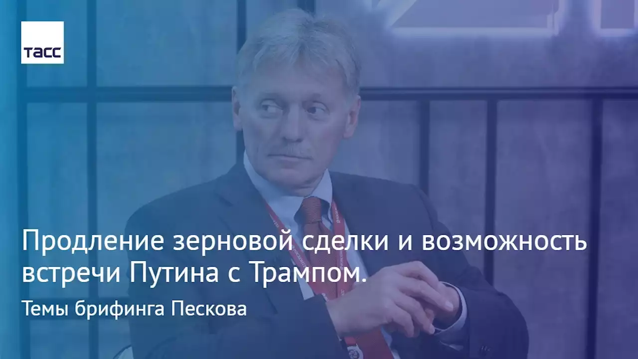 Продление зерновой сделки и возможность встречи Путина с Трампом. Темы брифинга Пескова