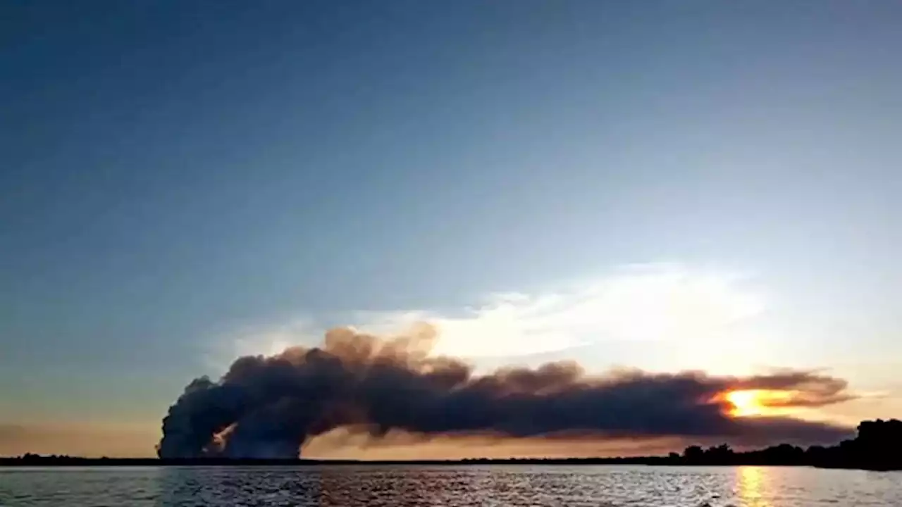 Incendios en Corrientes: hay más de 3.000 hectáreas afectadas y el fuego está 'descontrolado'