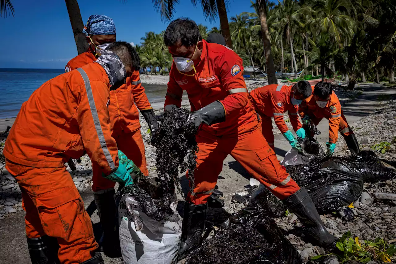 Human Hair Is Being Used to Clean an Oil Spill in the Philippines