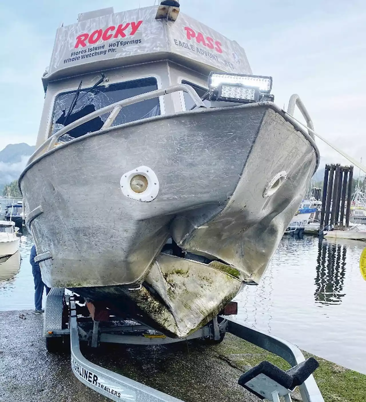 Reliance on GPS contributed to water taxi crash off Tofino, TSB report says