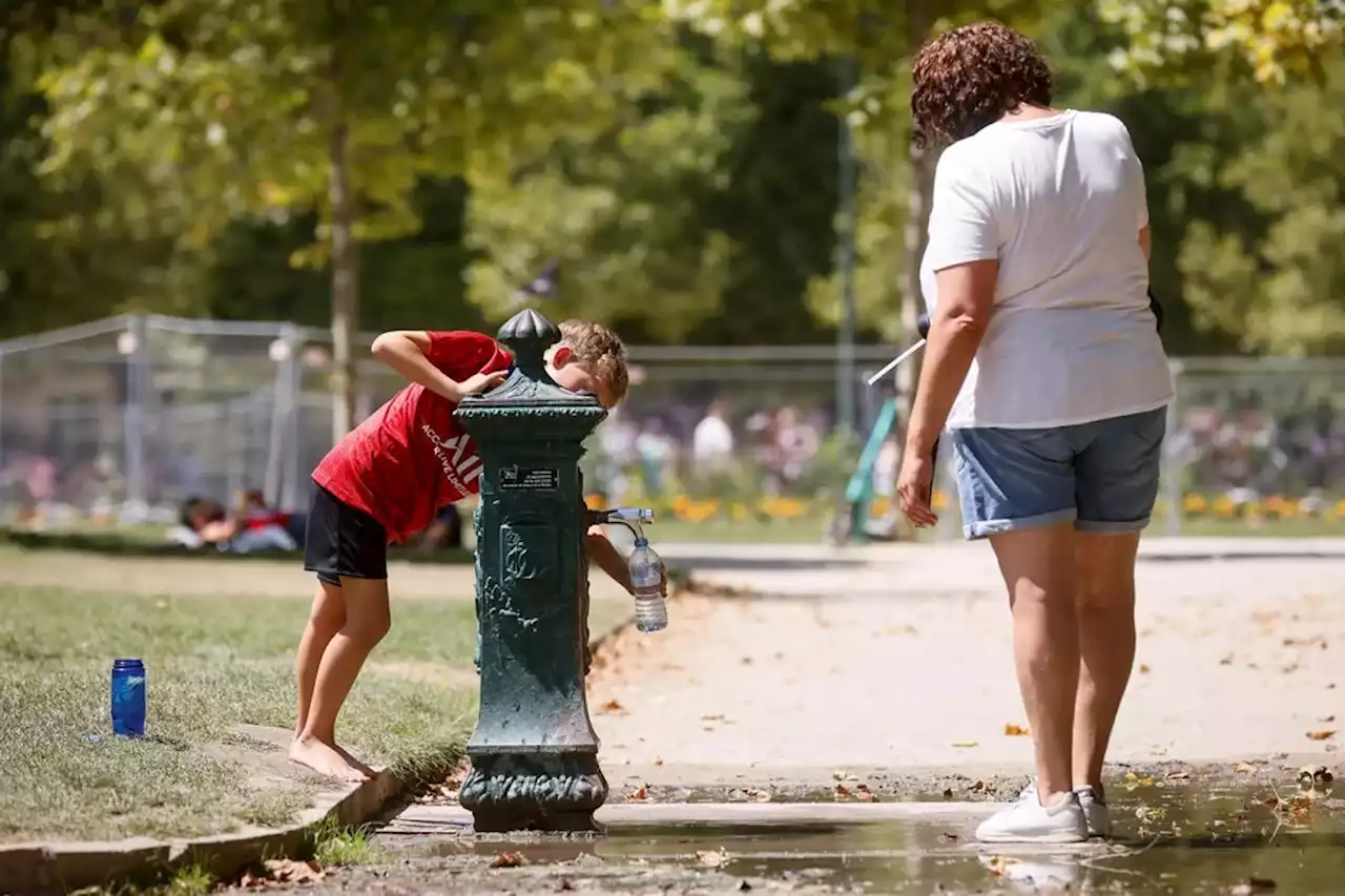 Ola de calor en Buenos Aires: hoy podría llegar la noticia más esperada por todos