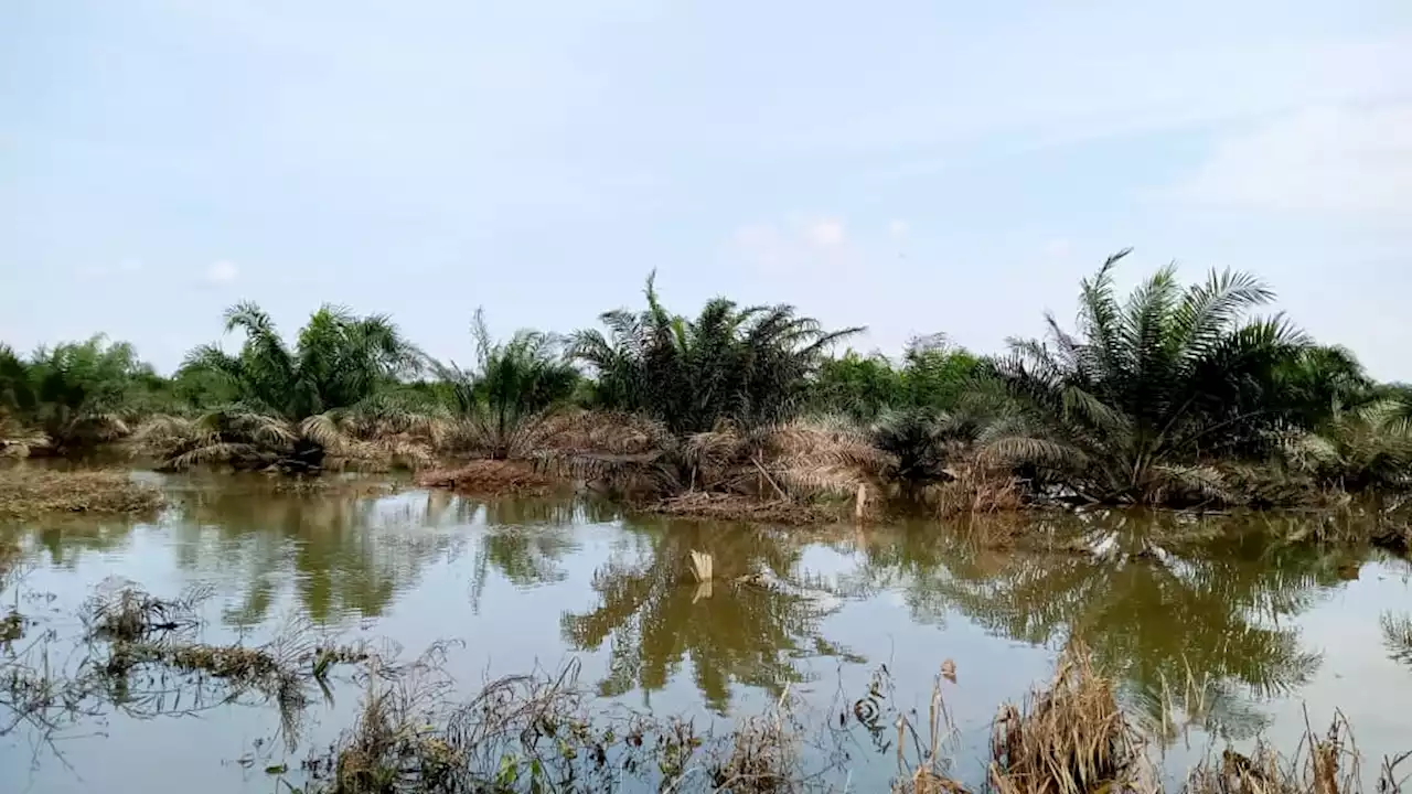 Bah Johor: Jumlah mangsa terus berkurangan