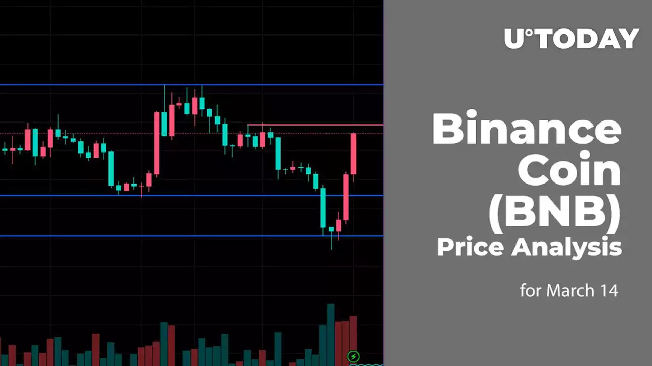 Binance Coin (BNB) Price Analysis for March 14