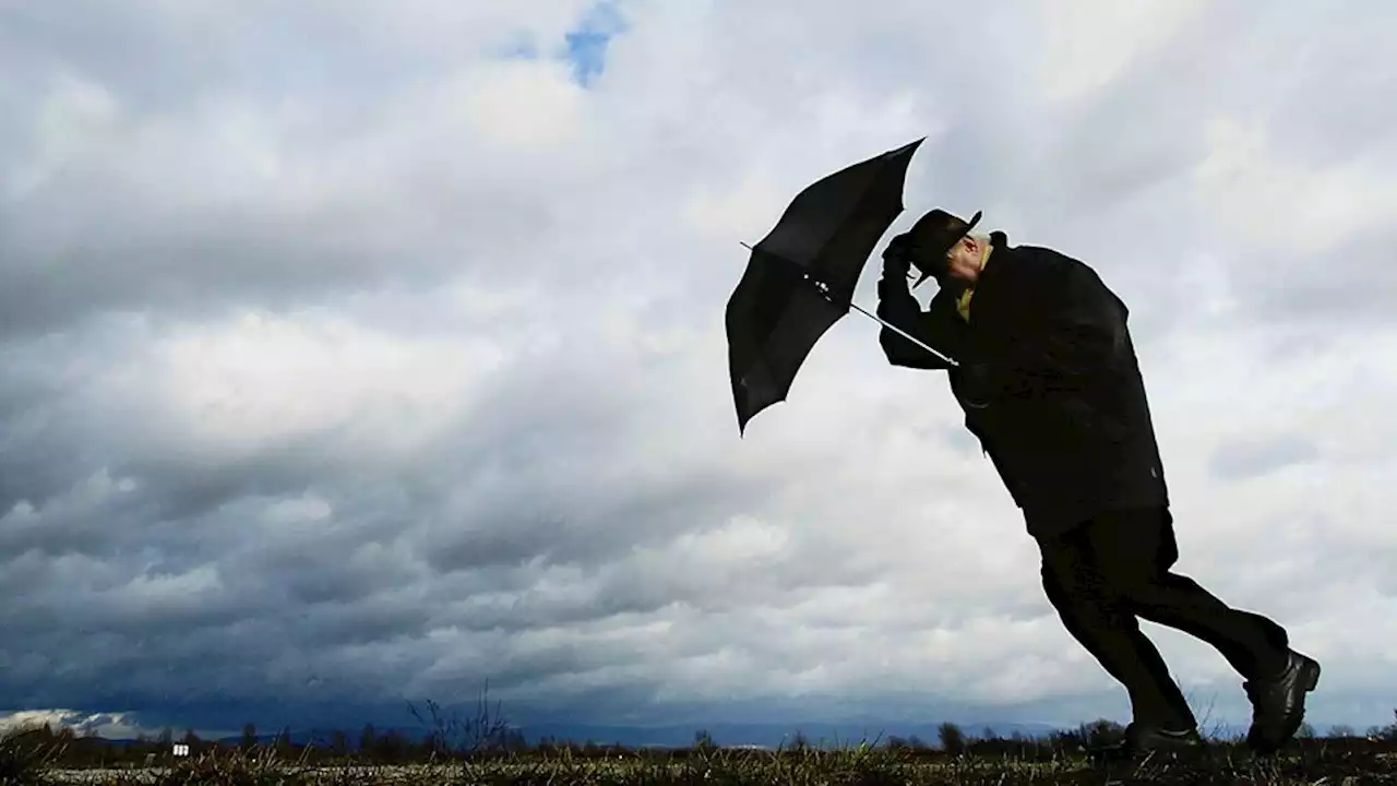 Wetter fährt Achterbahn: Stürmische Böen, Regen und Gewitter