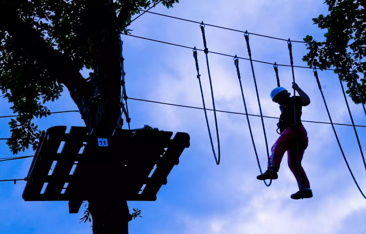 Une femme chute de plusieurs mètres sur un accrobranche dans l’Hérault