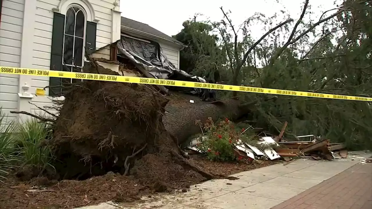 Pleasanton church among East Bay storm damage as tree removal, repair work gets underway