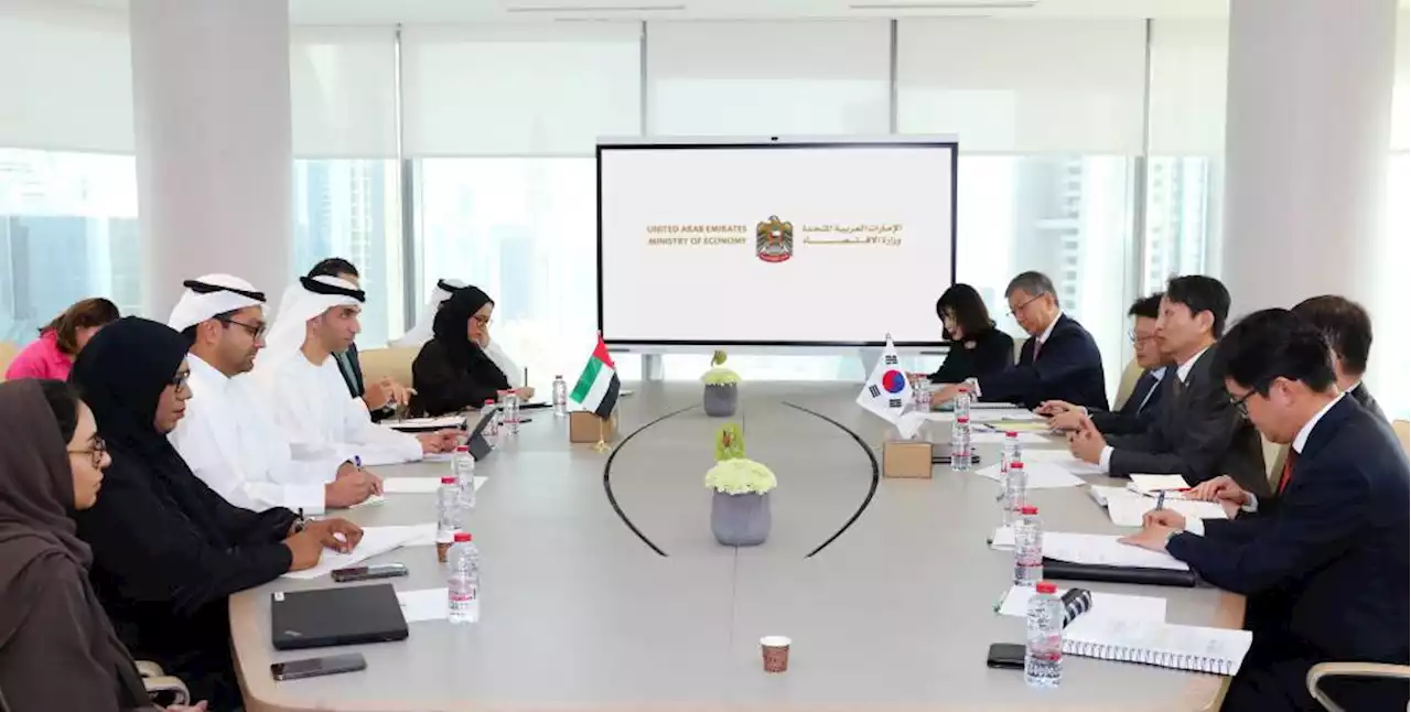 الإمارات وكوريا تناقشان فرص الاستثمار المشترك | صحيفة الخليج