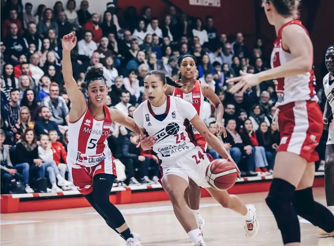 5000 personnes attendues au Rhenus entre la SIG Féminine et Basket Landes - BeBasket