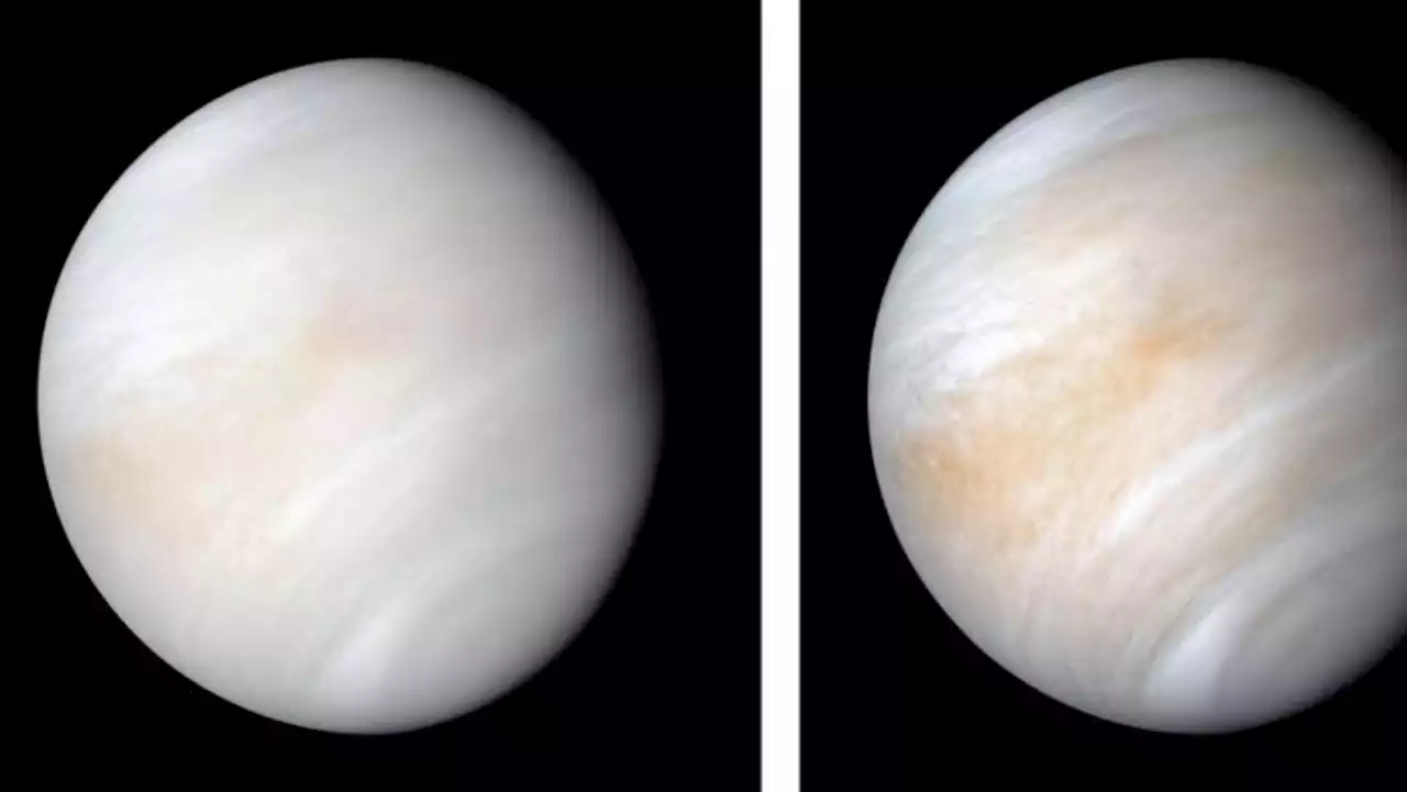 New analysis reveals dynamic volcanism on Venus