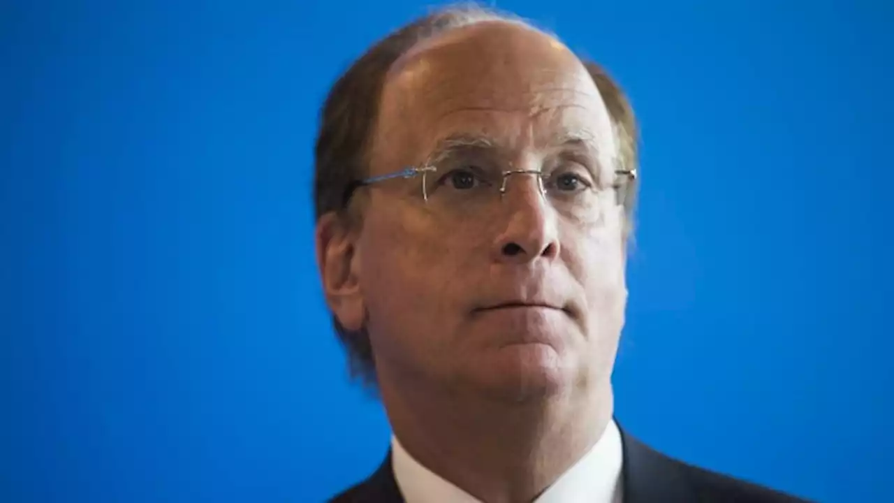 Larry Fink: BlackRock is not the 'environmental police'