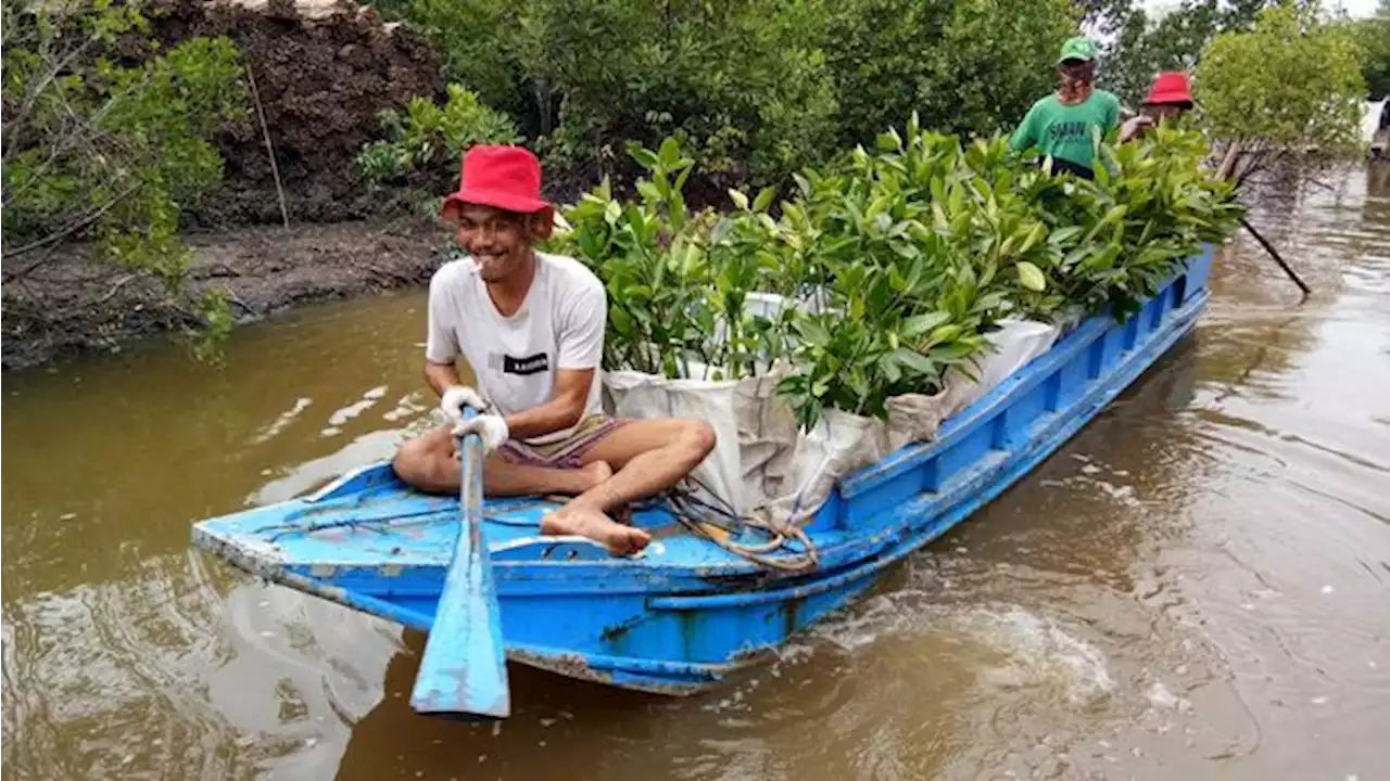 Dukung Rehabilitasi DAS, PTBA Perluas Pusat Persemaian