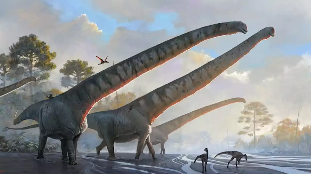 Meet the dinosaur that had a record-breaking neck longer than a school bus | CNN