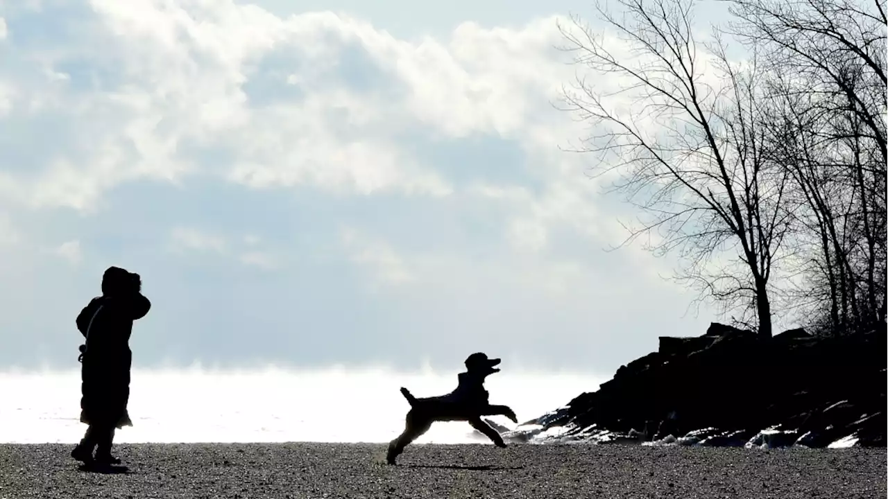 Clear skies, windy weather in Ottawa on Wednesday