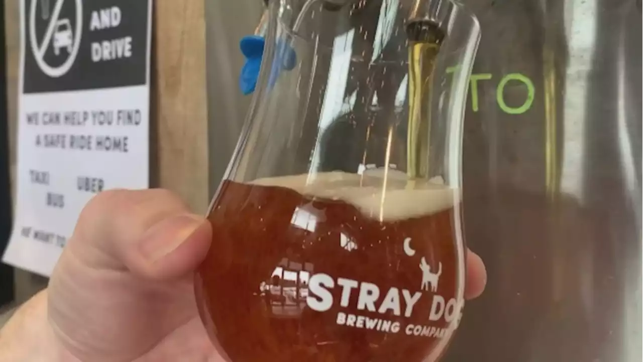 Micro breweries face hit for alcohol tax hike