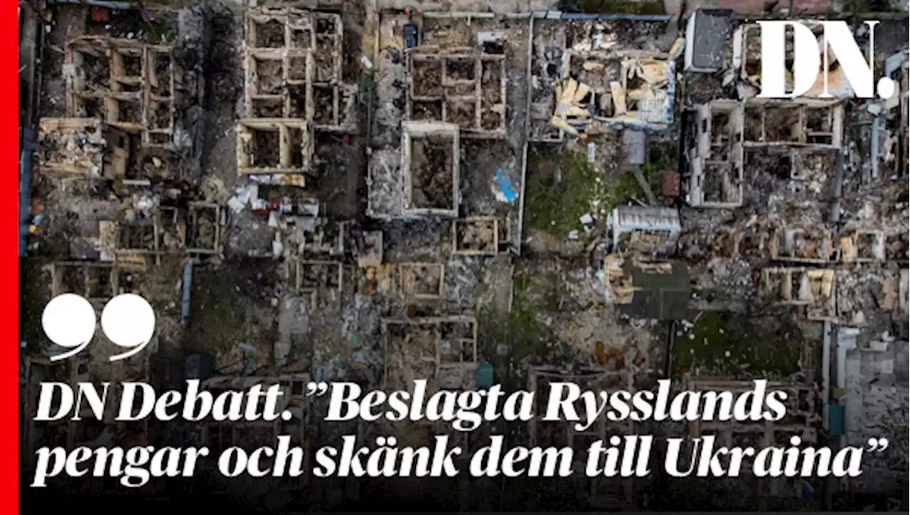 DN Debatt. ”Beslagta Rysslands pengar och skänk dem till Ukraina”