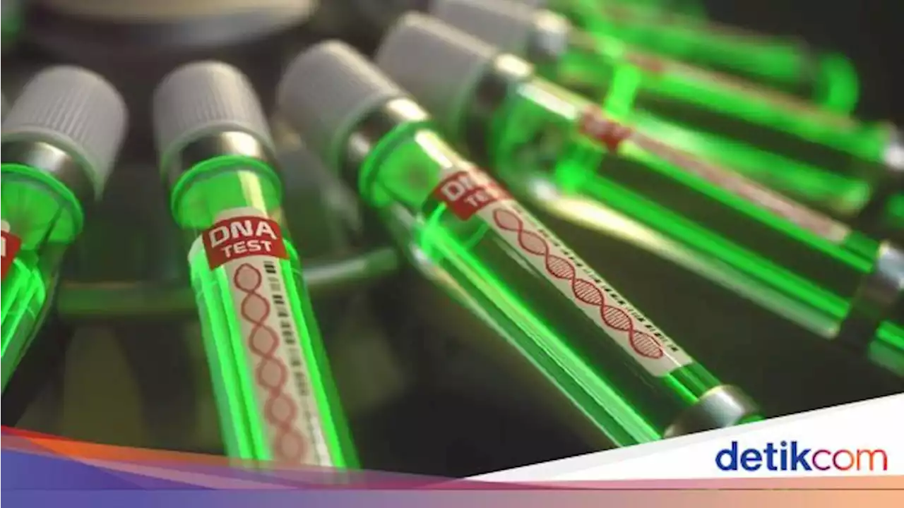 Bukan COVID-19, Kematian Demam Lassa di Negara Ini Ngegas 9 Pekan Terakhir