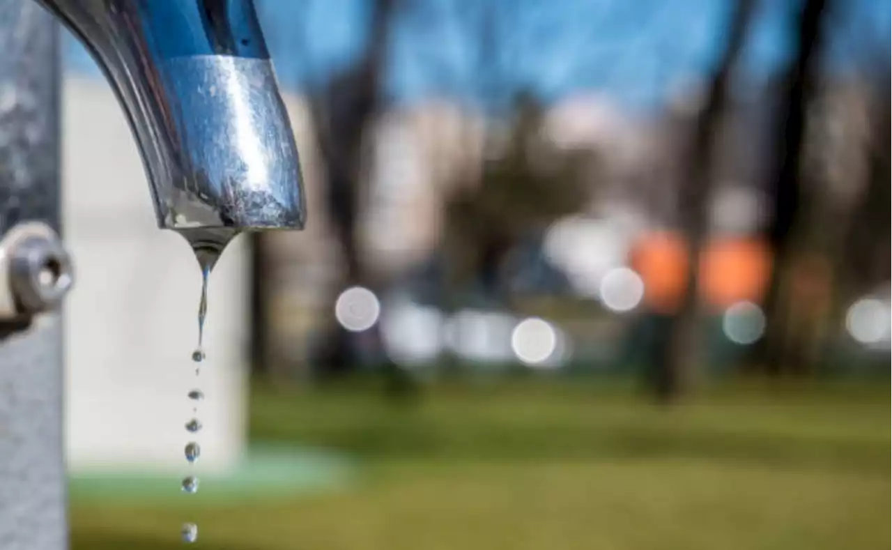 Piden a ciudadanía, empresas y gobierno en CDMX racionar uso de agua durante sequía