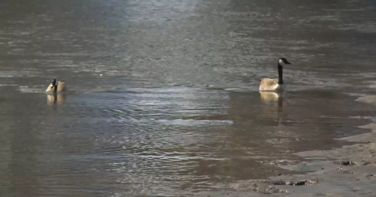 Even with massive snowpack, conservation key to Utah's drought and Great Salt Lake