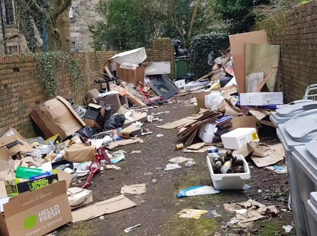 Call for major campaign to clean up Glasgow's back courts and lanes