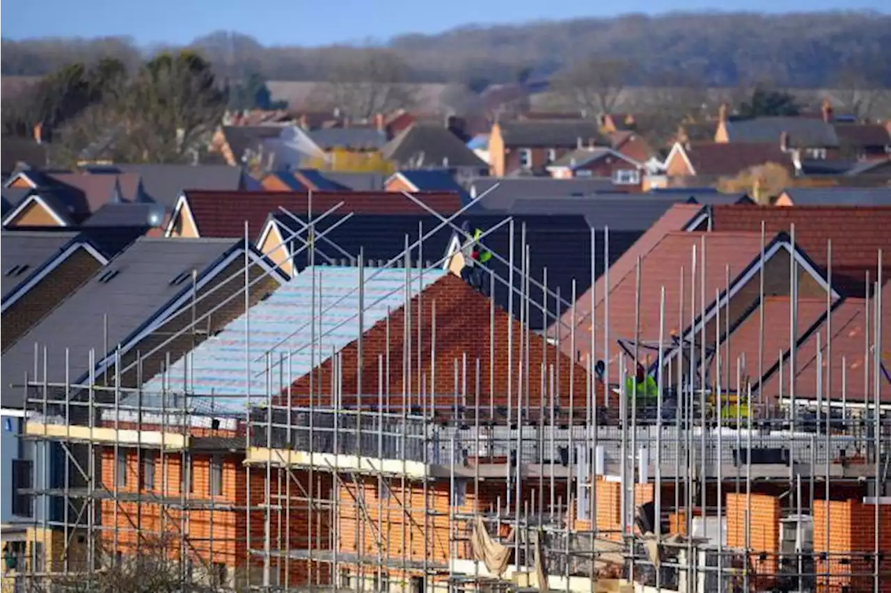 Plans for new homes given green light by council