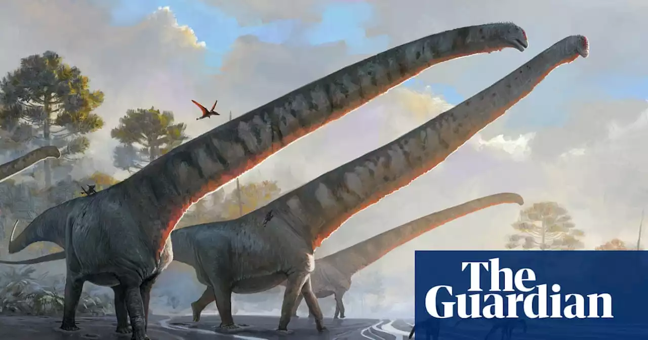 ‘Gargantuan’: China fossils reveal 70-tonne dinosaur had 15-metre neck