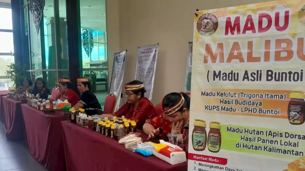 Festival Madu Palangkaraya, Bukti Siasat Kelola Gambut Tanpa Bakar