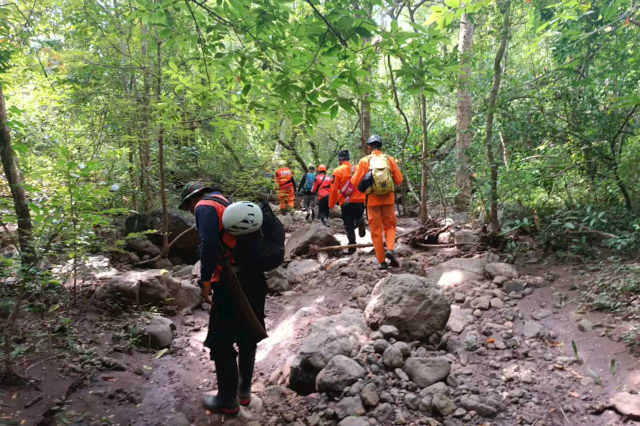 Tersesat di Hutan 2 Hari, Kakek Ini Bertahan Hidup dengan Minum Air Kubangan