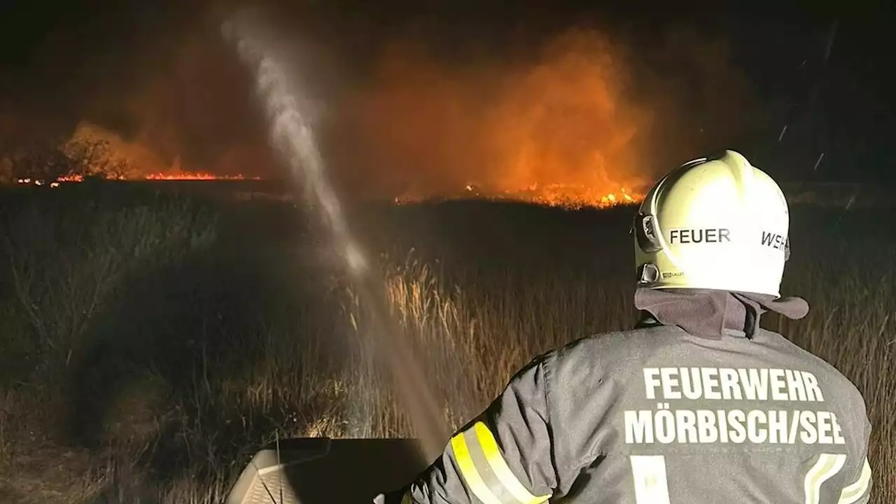 Schilfbrand sorgte erneut für Großeinsatz