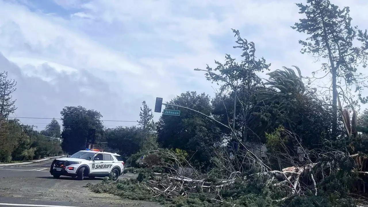 Trees and power lines 'falling left and right' wreak havoc on Bay Area roadways