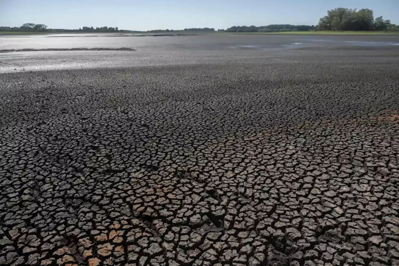 Por la grave sequía en Uruguay, el embalse de Canelón Grande se quedó sin agua