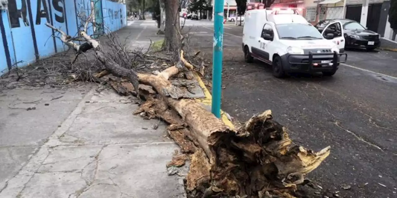 Activan alerta amarilla por fuertes vientos en toda la CDMX; también se prevén lluvias