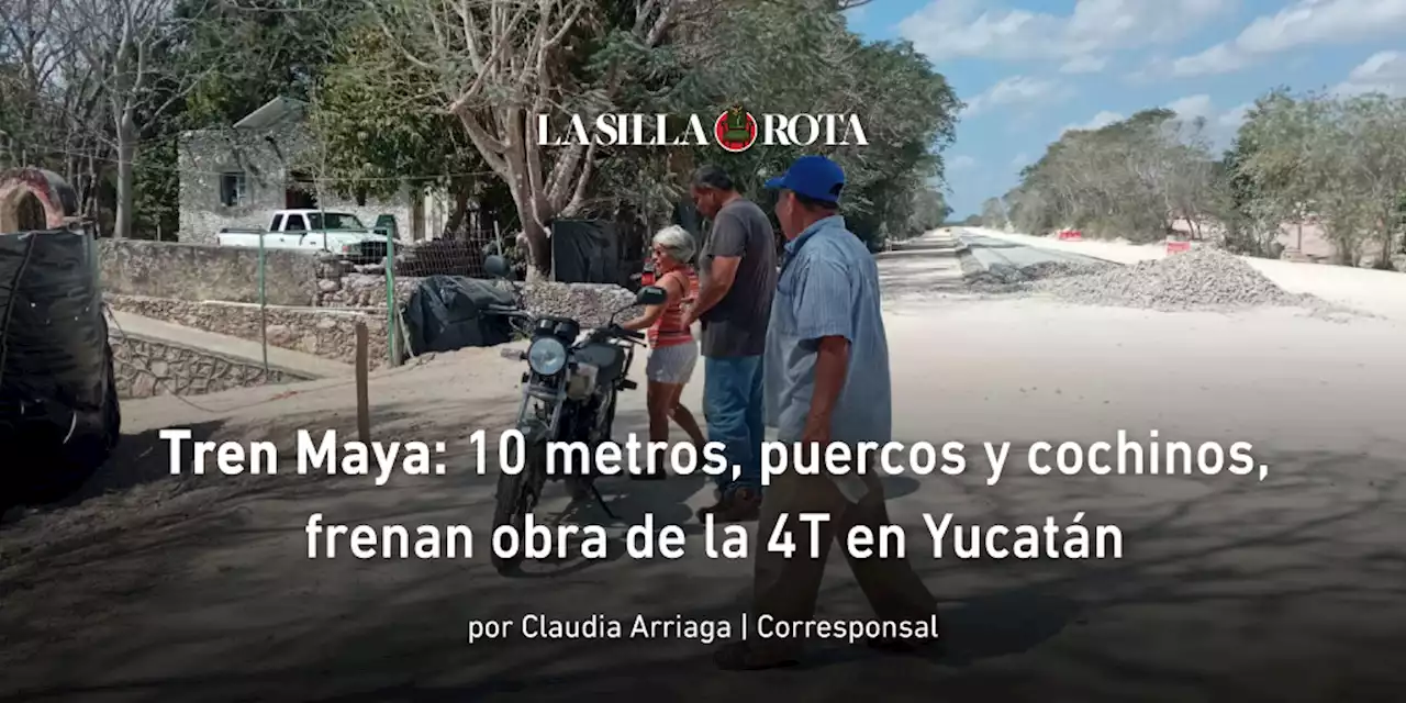 Tren Maya: 10 metros, 'puercos y cochinos', frenan obra insignia de la 4T en Yucatán