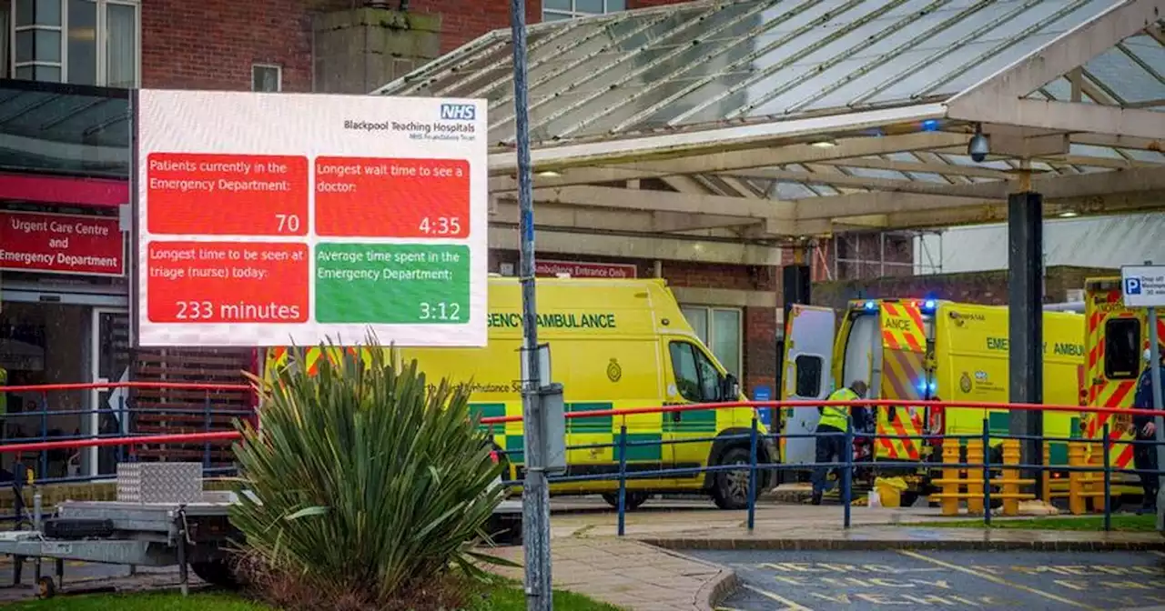 Man who 'sat hissing in A&E' assessed for just nine mins before killing his gran