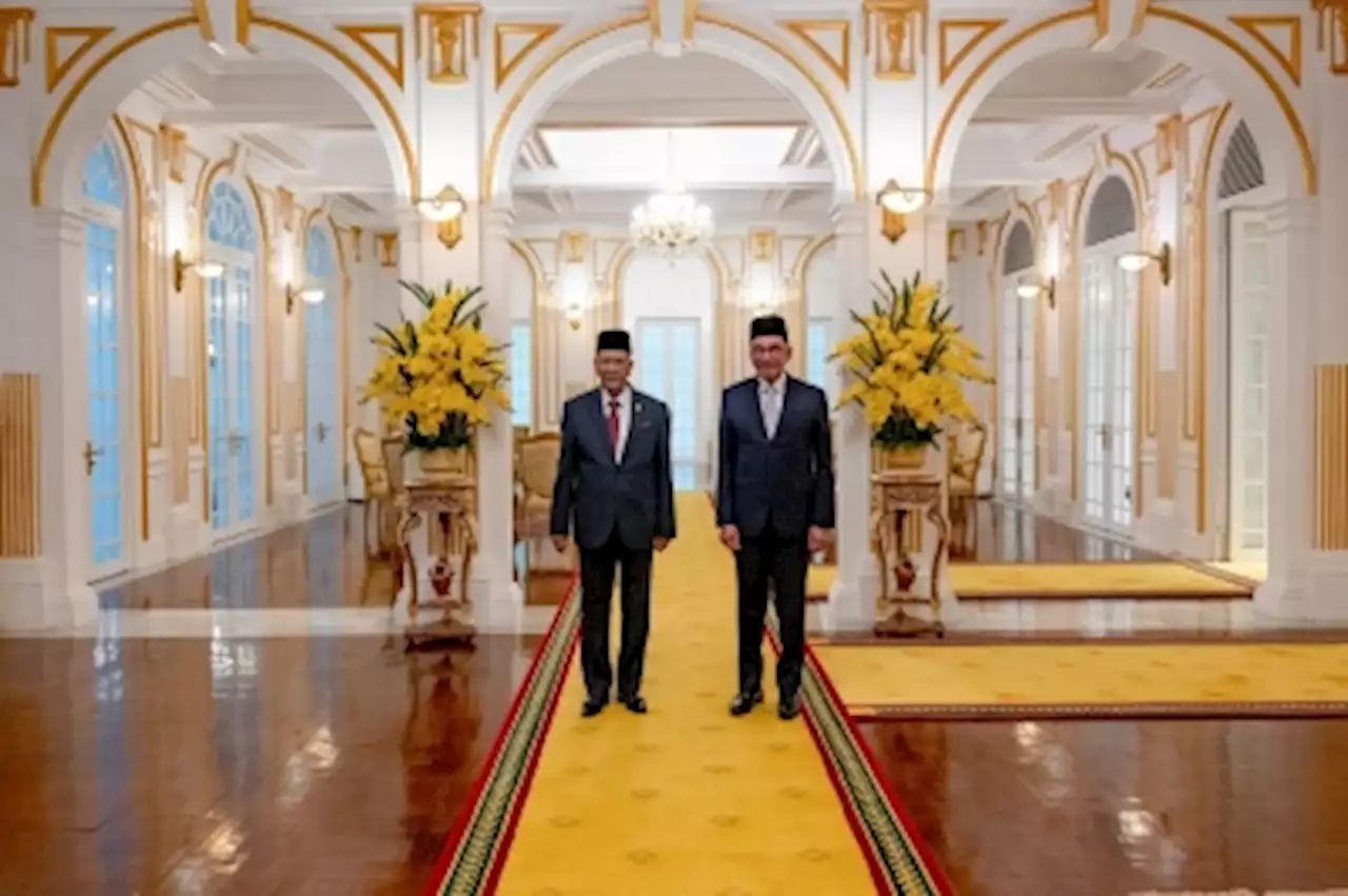 PM Anwar briefs Kedah Sultan on Malaysia’s development