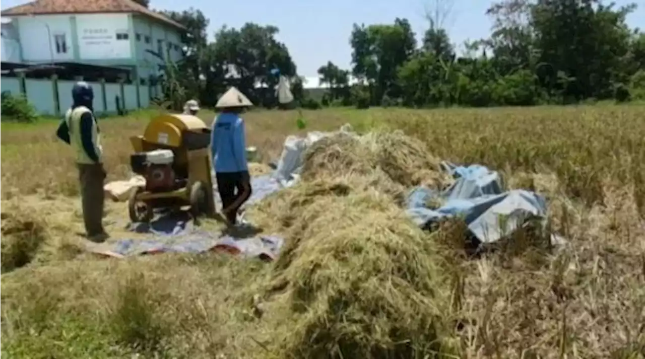 Kepala Bapanas: Harga Eceran Tertinggi Beras Segera Diumumkan