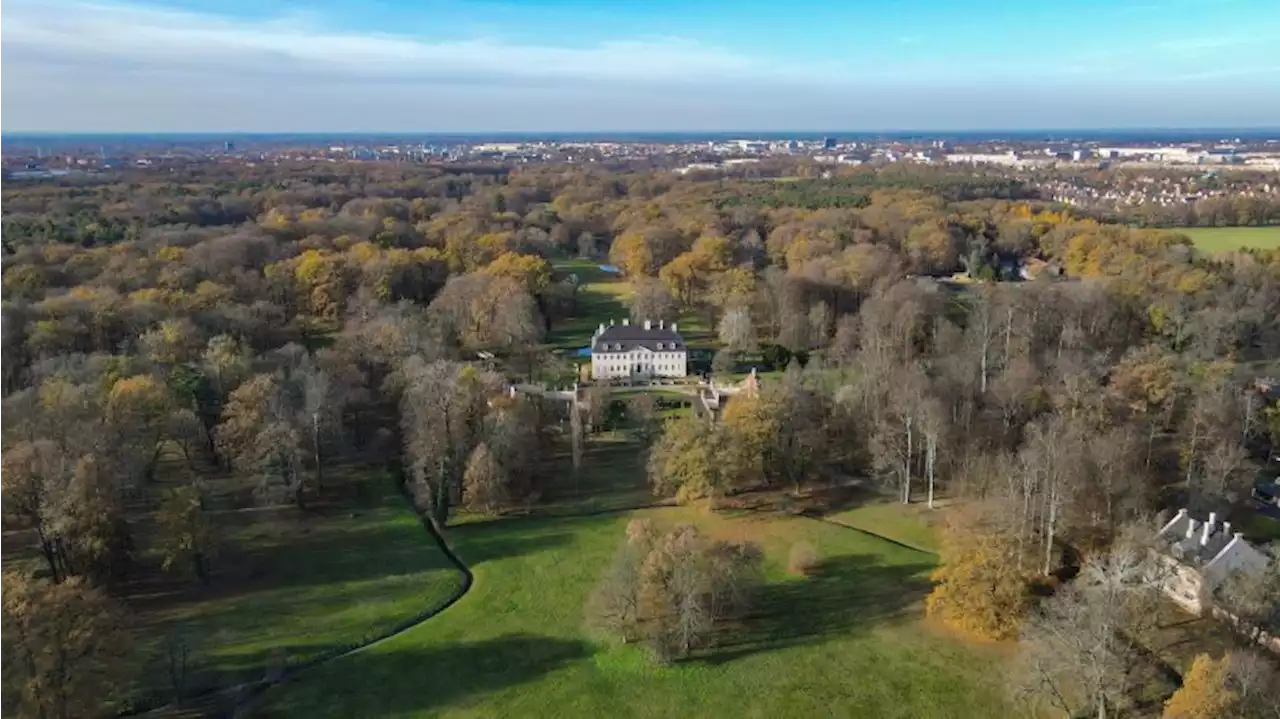 Klimaangepasste Bäume ziehen von Berlin in Park Branitz um