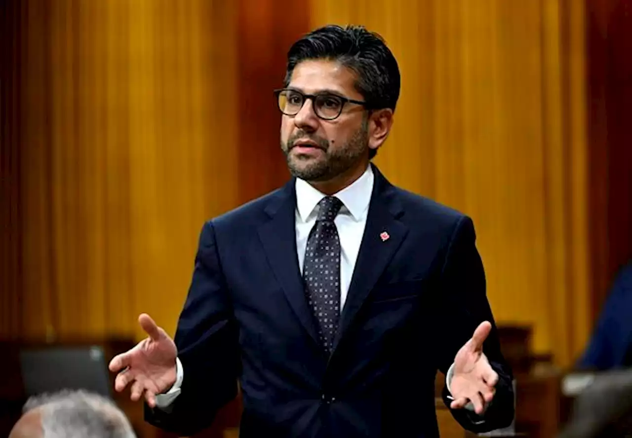 MP Yasir Naqvi drops parliamentary role in possible provincial Liberal leadership bid | National Newswatch