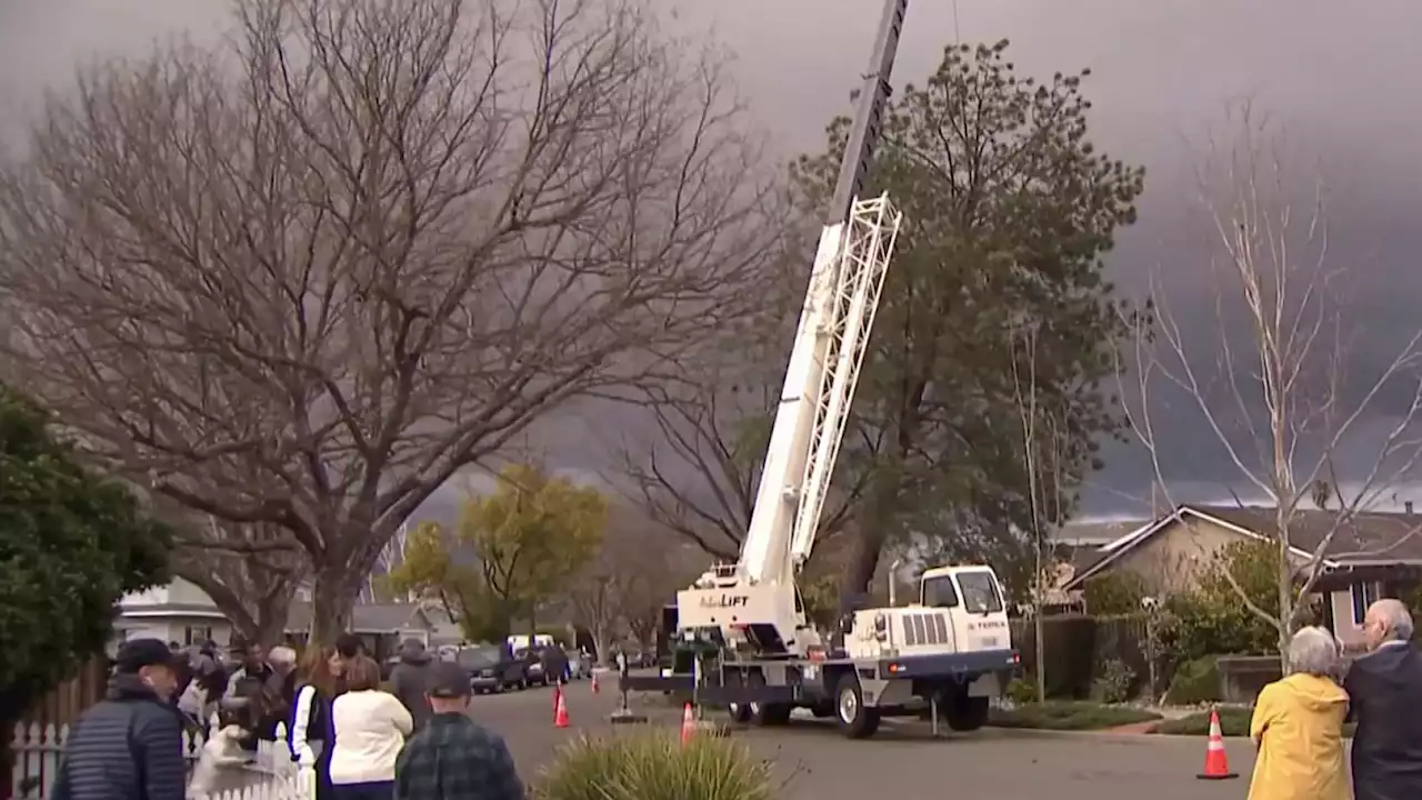 Neighbors Ban Together to Save San Jose Home From Leaning Tree