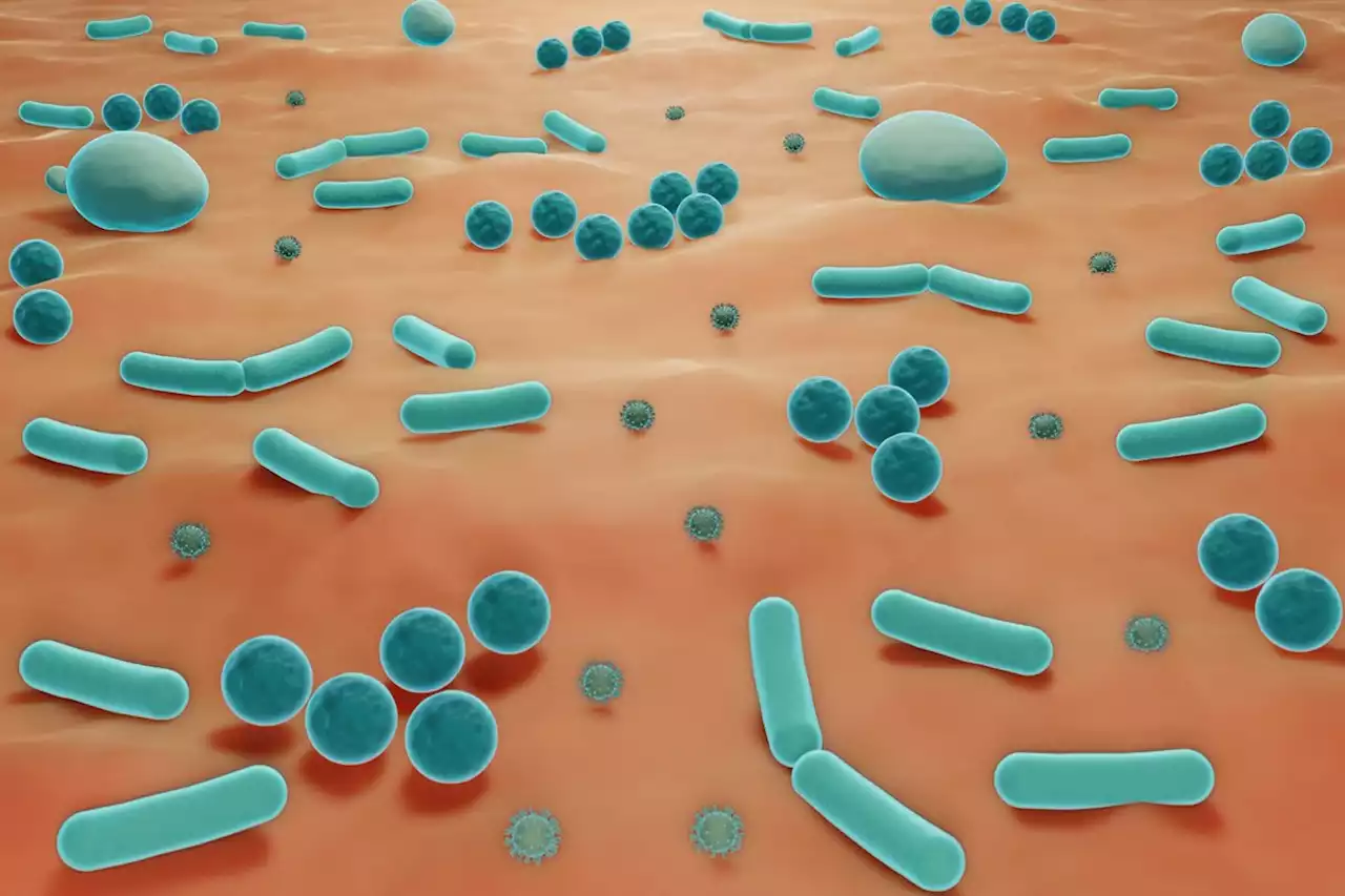 Insight into the Skin Microbiome