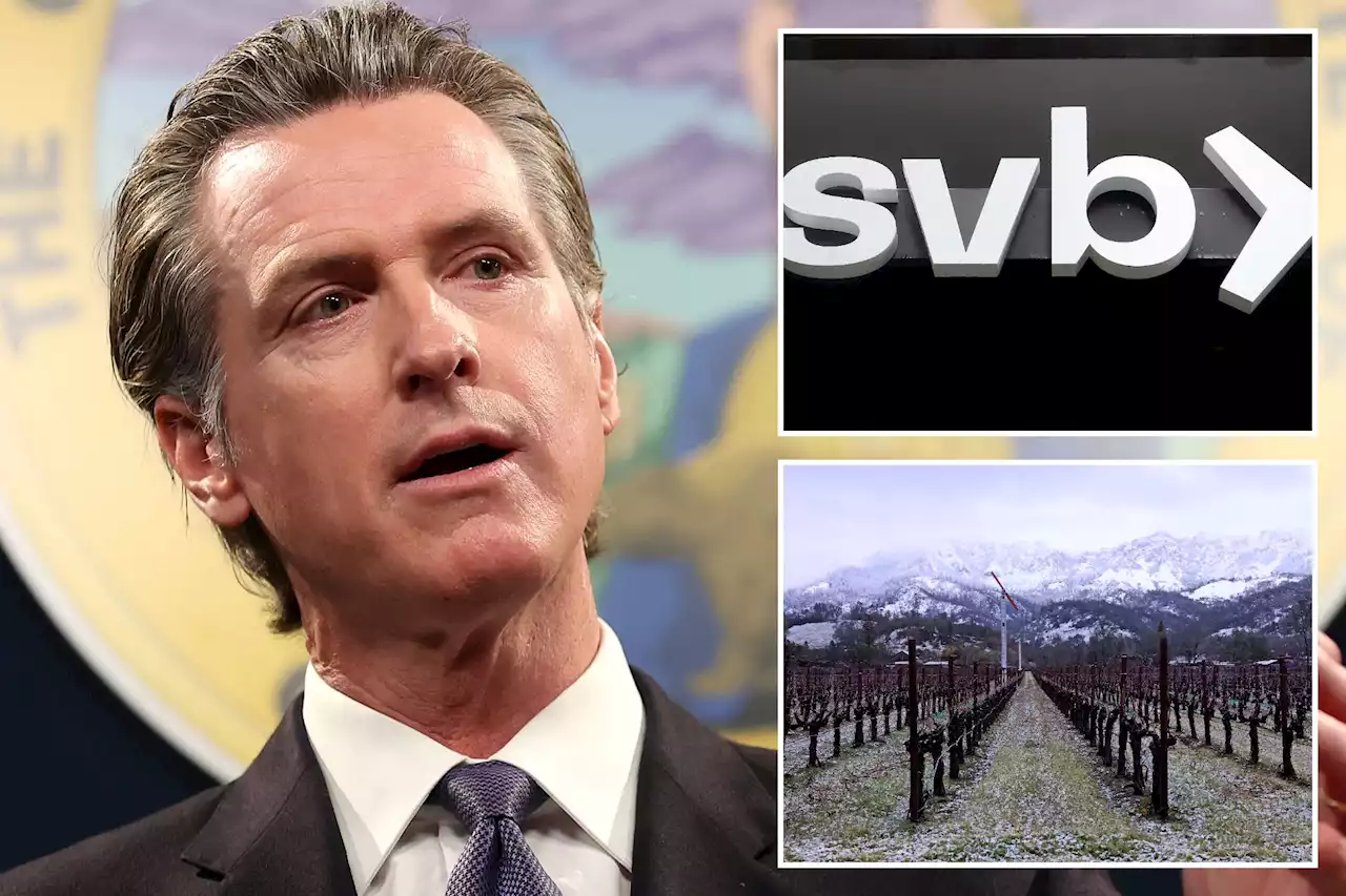 Gavin Newsom praised Silicon Valley Bank bailout — without disclosing he’s a client: report