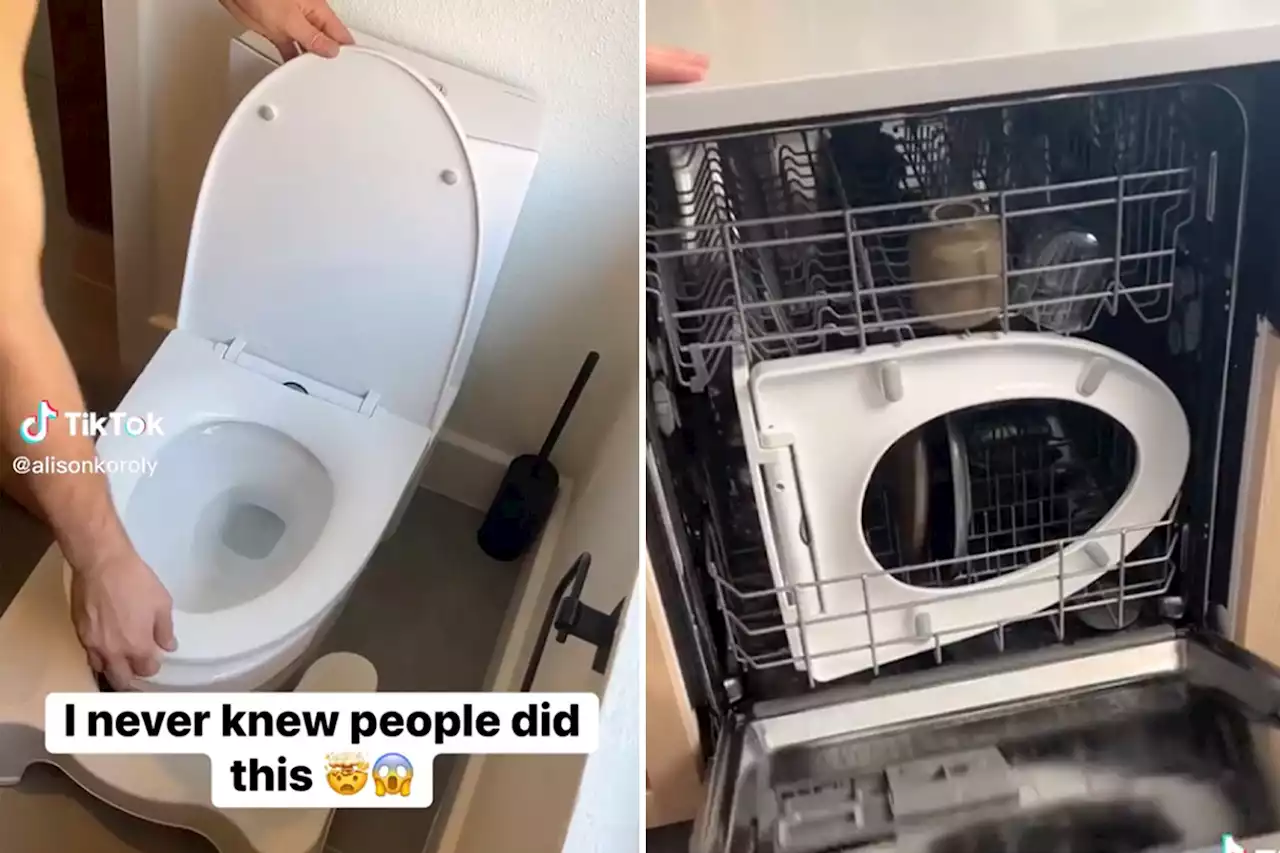 I put my toilet seat in the dishwasher: ‘I never knew people did this’